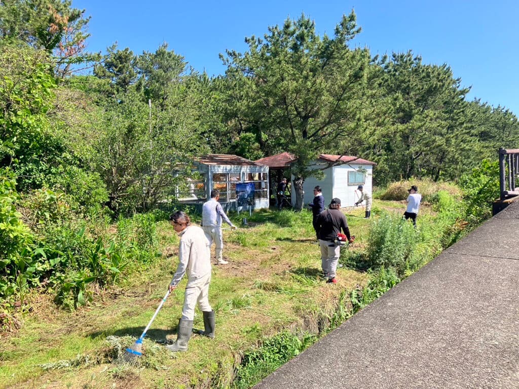 前の記事のサムネイル