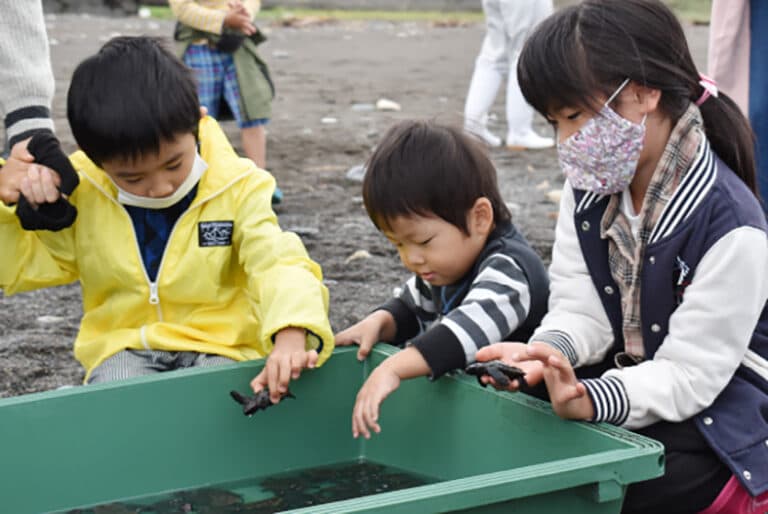 ウミガメの保護活動