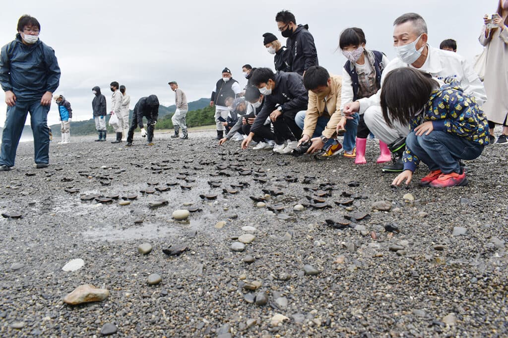 前の記事のサムネイル